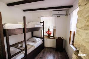 Rúm í herbergi á Trigona Guest House & Hostel