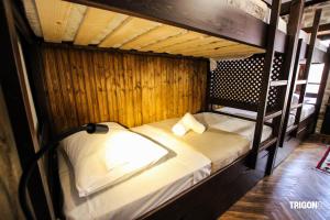 ジロカストラにあるTrigona Hostelの二段ベッド2組が備わる客室です。