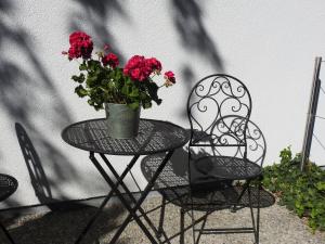 Zahrada ubytování Hotel Garni Tannleger B&B