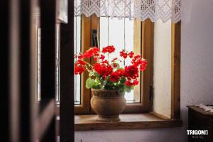 Mynd úr myndasafni af Trigona Guest House & Hostel í Gjirokastër