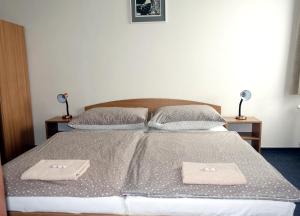 Postel nebo postele na pokoji v ubytování HOTEL STAŘÍČ