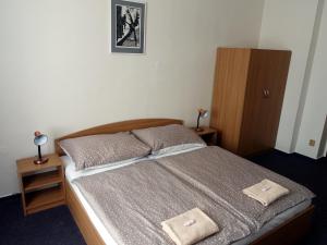 Postel nebo postele na pokoji v ubytování HOTEL STAŘÍČ