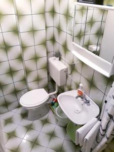 ein Badezimmer mit einem WC, einem Waschbecken und einem Spiegel in der Unterkunft Apartmani i soba Andrijasevic in Makarska