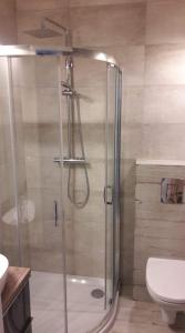 a shower with a glass door in a bathroom at GOJA in Sztutowo +13 photos