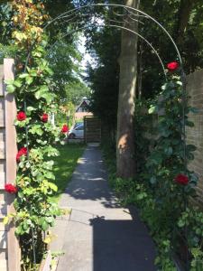 Photo de la galerie de l'établissement Het Hart, à Bergen