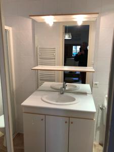 a bathroom with a sink and a person taking a picture at Les Mésanges in Lamotte-Beuvron