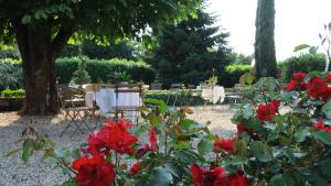 Ogród w obiekcie VILLA LE ROSE