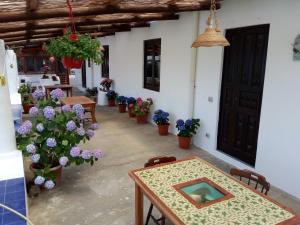 a room with a table and some potted plants at Angel home in Malfa