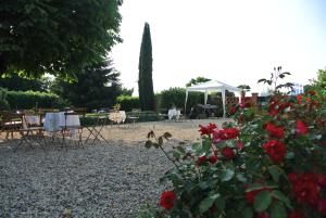 Ogród w obiekcie VILLA LE ROSE