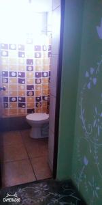 a bathroom with a toilet and a green wall at La Casa del Che Fernando in Lima