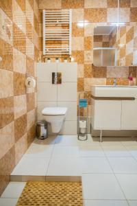 un bagno con un water e un lavandino di City Light Apartment a Timişoara Altre 22 foto