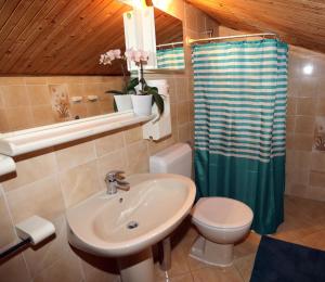 a bathroom with a sink and a toilet and a shower at Apartment Leona in Pula +38 photos