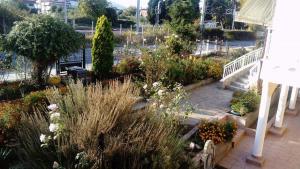 A garden outside PLAZA Studios