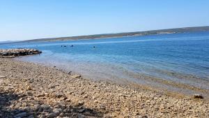 Fotografie z fotogalerie ubytování Apartment Maslenica 2, near Zadar v destinaci Maslenica