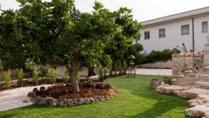 a tree in a circle of rocks in a yard at B&b I Trulli dei Desideri in Alberobello