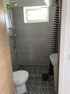 a bathroom with a toilet and a sink at Secret garden house in the center of Sigulda in Sigulda