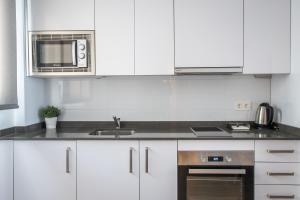 Kuchyňa alebo kuchynka v ubytovaní Ibericabeds Granada