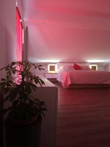 Un pat sau paturi într-o cameră la Apartments Paradise