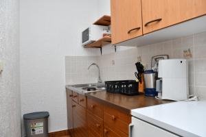 Kuchyň nebo kuchyňský kout v ubytování Apartments Josip