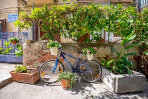 Jazda na bicykli v okolí ubytovania Hortensia House
