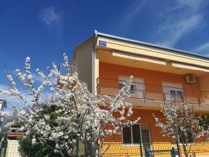 an orange building with white flowering trees in front of it at Apartman Daria in Trogir