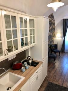 A kitchen or kitchenette at Frank Apartman Deluxe