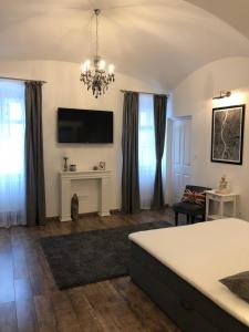 A television and/or entertainment centre at Frank Apartman Deluxe