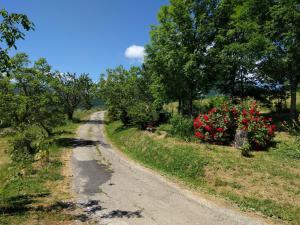 Φωτογραφία από το άλμπουμ του Serenella B&B σε Sestola +7 φωτογραφίες
