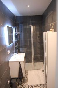 ein Bad mit einer Dusche, einem WC und einem Waschbecken in der Unterkunft PETIT GITE EN BRACONNE in La Rochette
