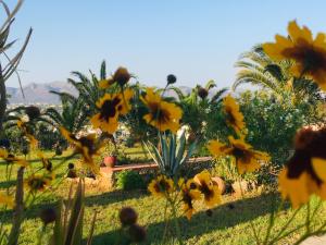 A garden outside Theodosia Studios