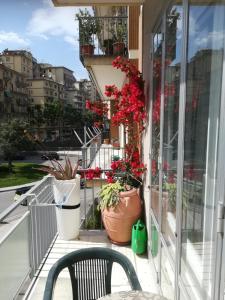 a balcony with potted plants on a building at Edelweiss in Salerno