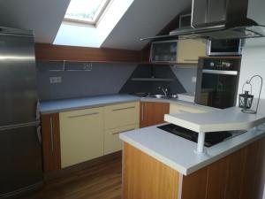 Kuchyň nebo kuchyňský kout v ubytování Apartma Zmalinka + 12 fotografií