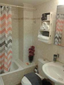 une salle de bain avec toilettes, lavabo et douche dans l'établissement Sea view cozy studio near center of Rethymno town&free parking, à Réthymnon