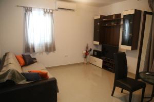 TV a/nebo společenská místnost v ubytování Apartment Drazan