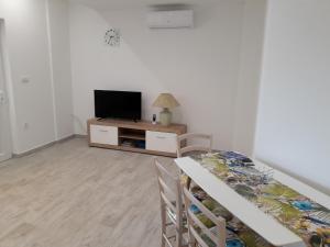 TV a/nebo společenská místnost v ubytování Apartments Roko