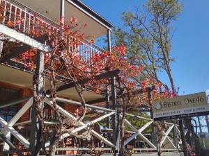 a tree with red leaves next to a building at Myrtle Tree Lodge - Trunks in Kangaroo Valley