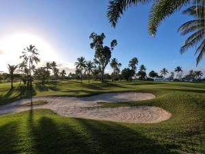 a view of the green at coconut palms golf course at Halliday Bay Resort in Seaforth +6 photos