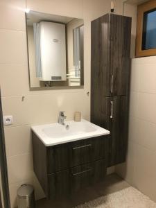 a bathroom with a sink and a mirror at Ferienhaus Bergfee in Klippitztorl