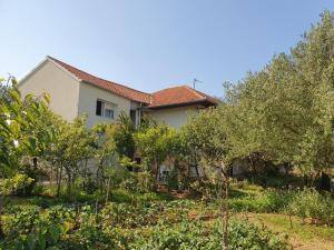 Photo de la galerie de l'établissement Apartments Meli, à Zadar