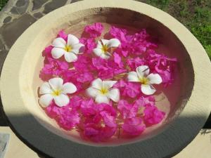 Foto sihtkohas Pemuteran asuva majutusasutuse TEGAL SARI, Pemuteran- North Bali galeriist