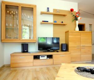 TV a/nebo společenská místnost v ubytování Ferienwohnung Ginkgo