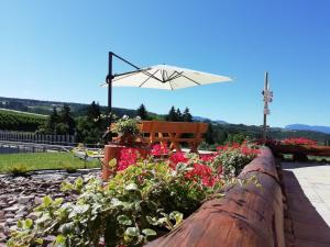 Zahrada ubytování Agritur I Colori