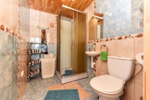 Ένα μπάνιο στο Zelta pirts Guest House +83 φωτογραφίες