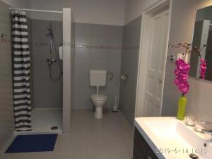 a bathroom with a toilet and a shower and a sink at Füredi Ház apartman in Sopron