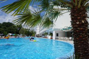 a large swimming pool with a palm tree in the foreground at Zefir Hotel in Sunny Beach