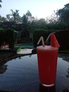 a drink sitting on a table next to a pool at Argasoka Bungalows in Ubud