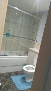 a bathroom with a white toilet and a shower at holiday Apartment with two bathrooms, lift access in Edinburgh
