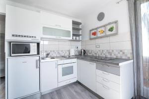 Kuchyň nebo kuchyňský kout v ubytování Mateja House - Apartments in Žirovnica + 10 fotografií