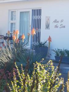 a house with a bunch of plants in front of it at Aloe @ the Sea in Mossel Bay