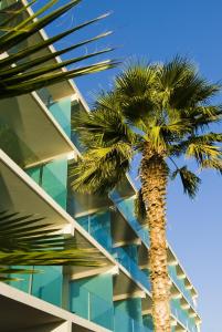 Fotografie z fotogalerie ubytování Kos Aktis Art Hotel ve městě Kos